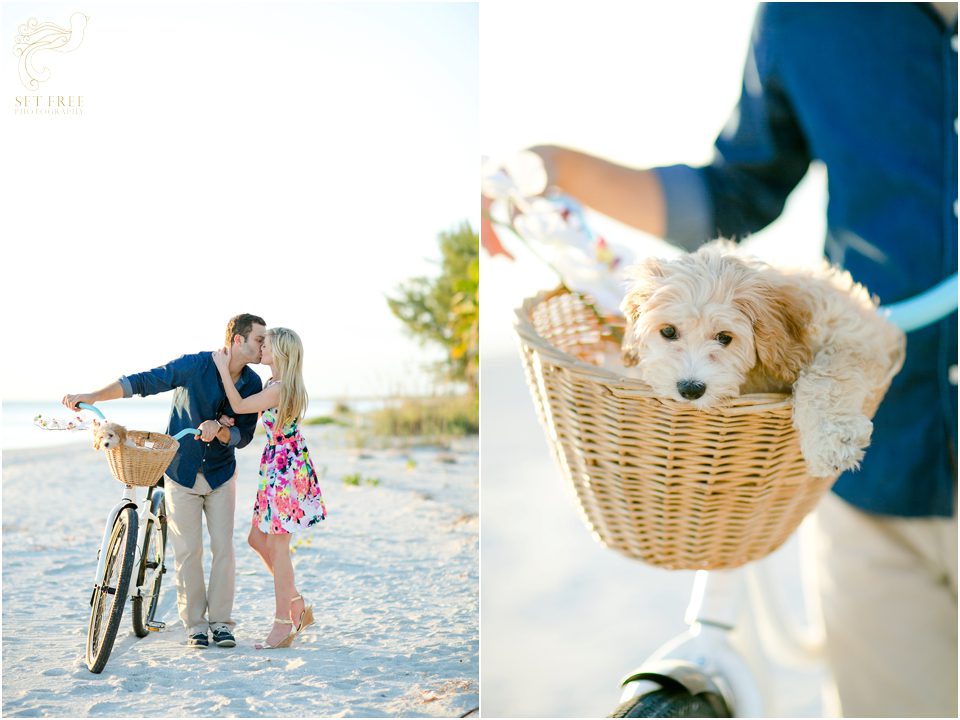 engagement session sanibel florida set free photography beach dog beach cruiser