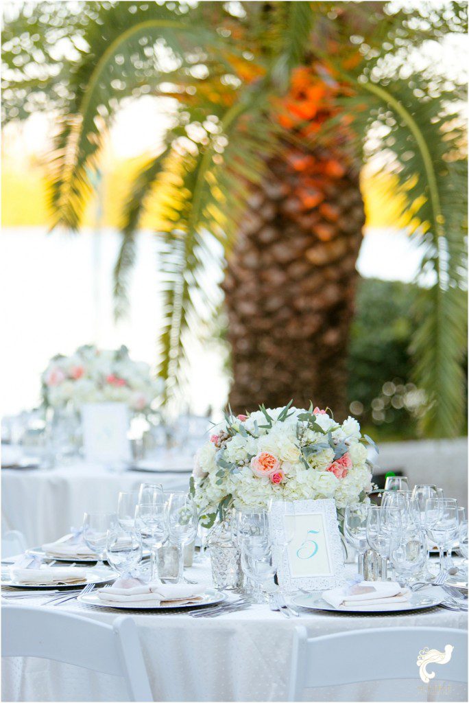 wedding sea oats captiva florida beach set free photography