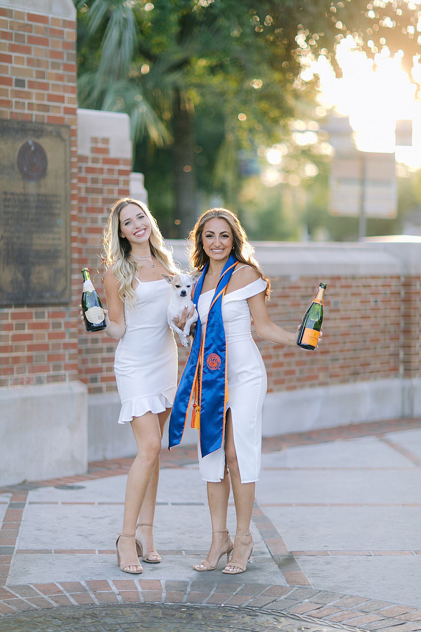 uf grad pics set free photography florida senior photos campus university