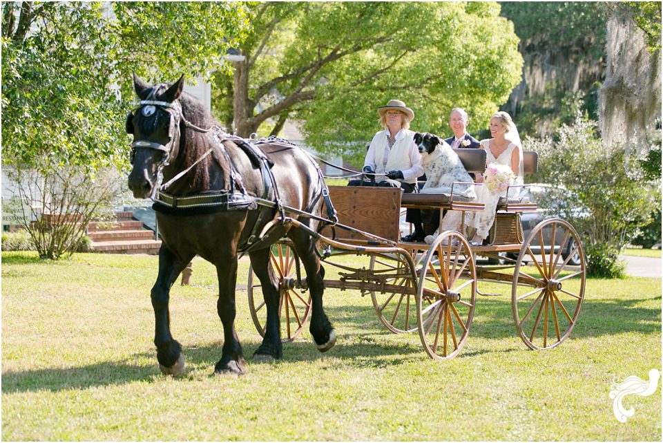 pebble hill plantation set free photography florida Georgia photographer 