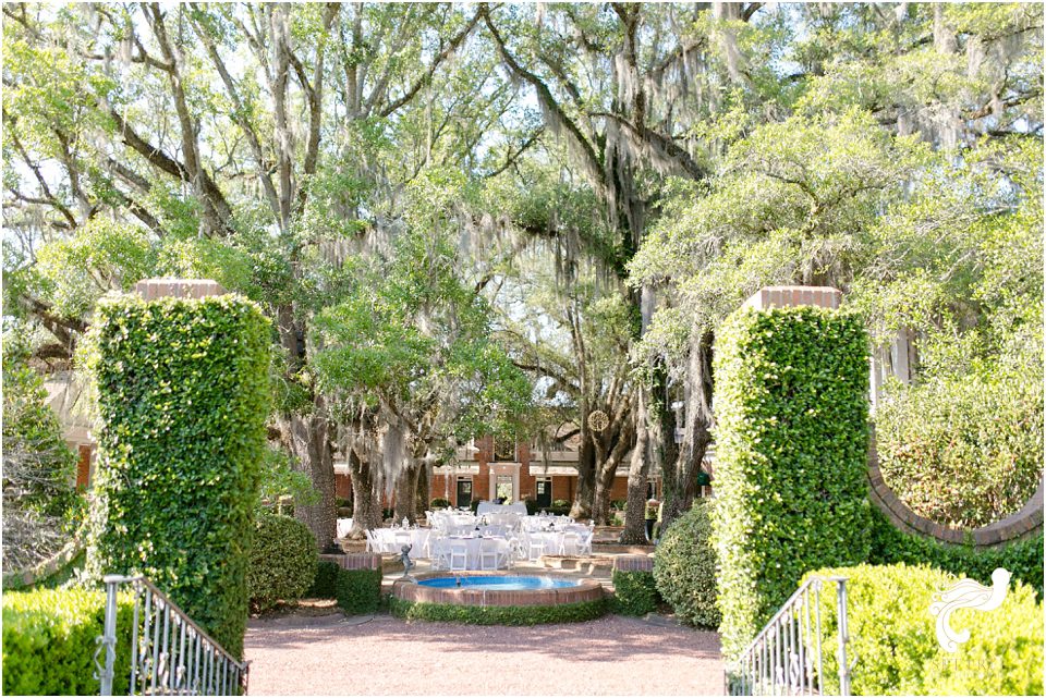 pebble hill plantation set free photography florida Georgia photographer 