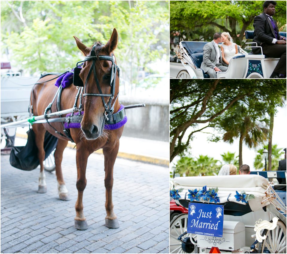 Naples Florida Wedding Photographer Set Free Photography