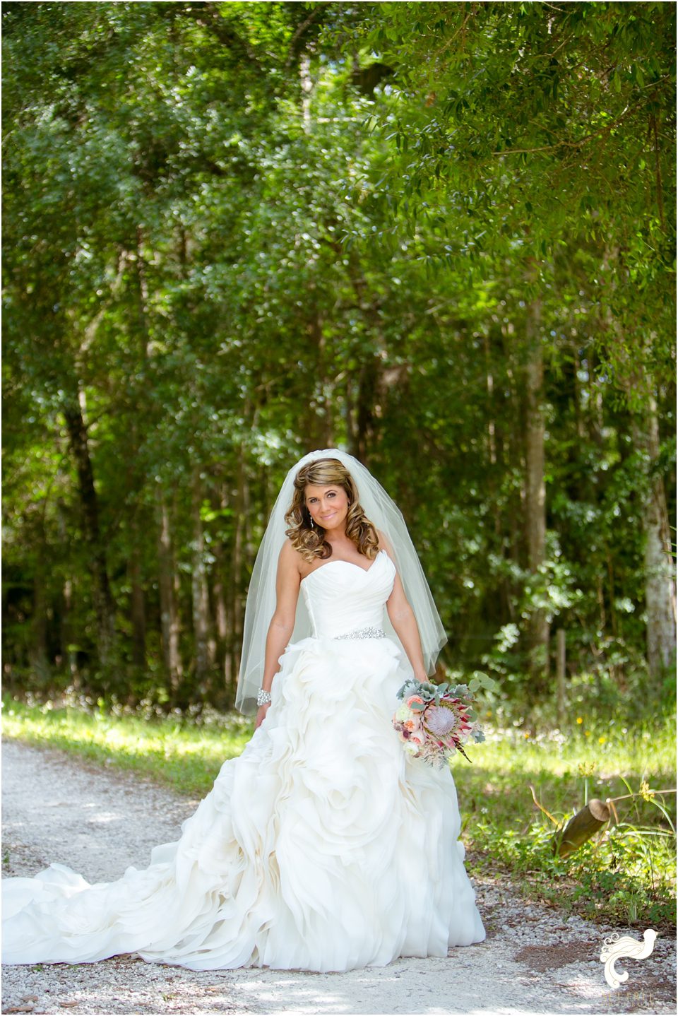 Naples Wedding Set Free Photography Florida photographer