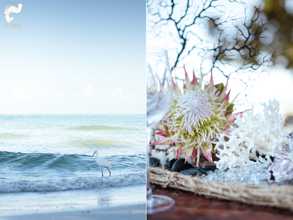 Naples Wedding Photographer Set Free Photography Beach