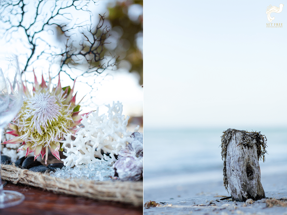 Naples Wedding Photographer Set Free Photography Beach