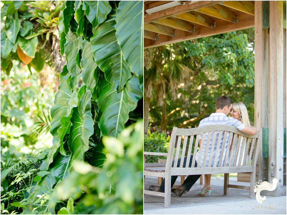 Naples wedding photographer set free photography engagement sarasota marie selby gardens