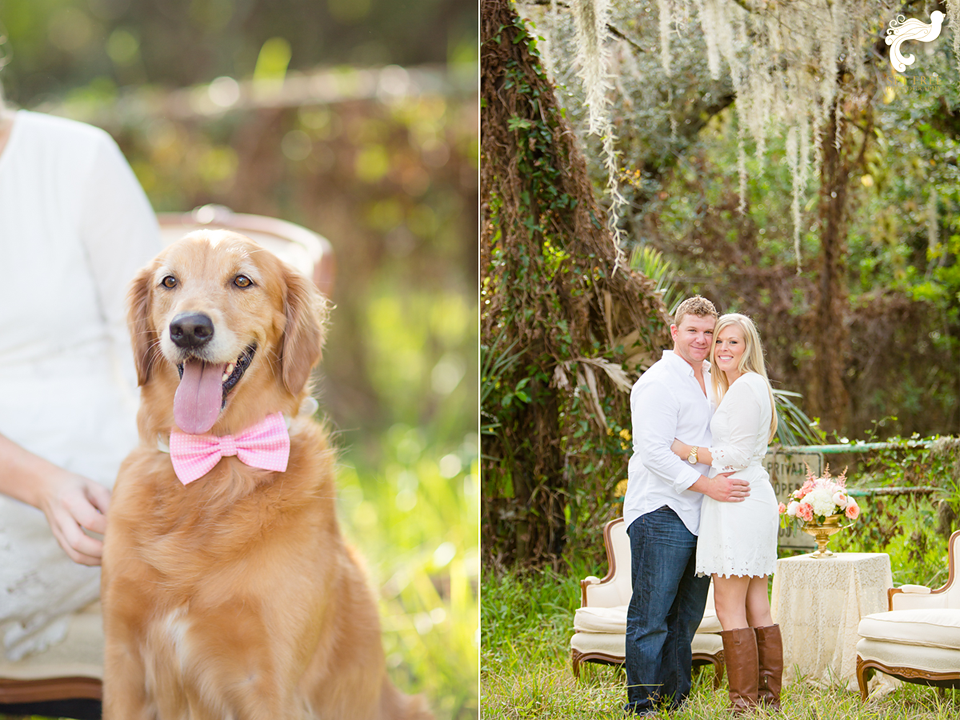 couple, dogs