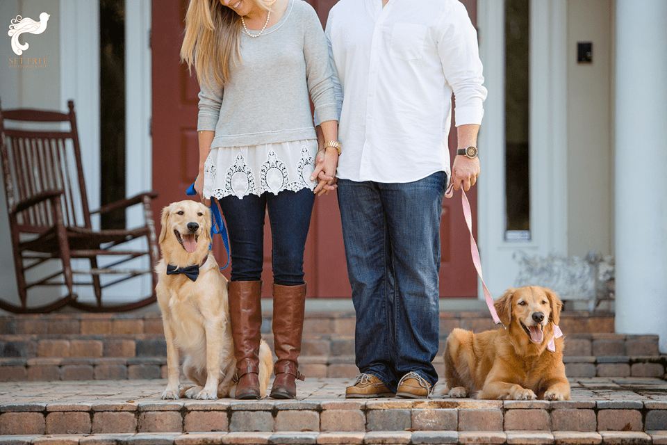 couple, dogs