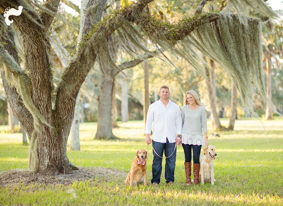 couple, dogs