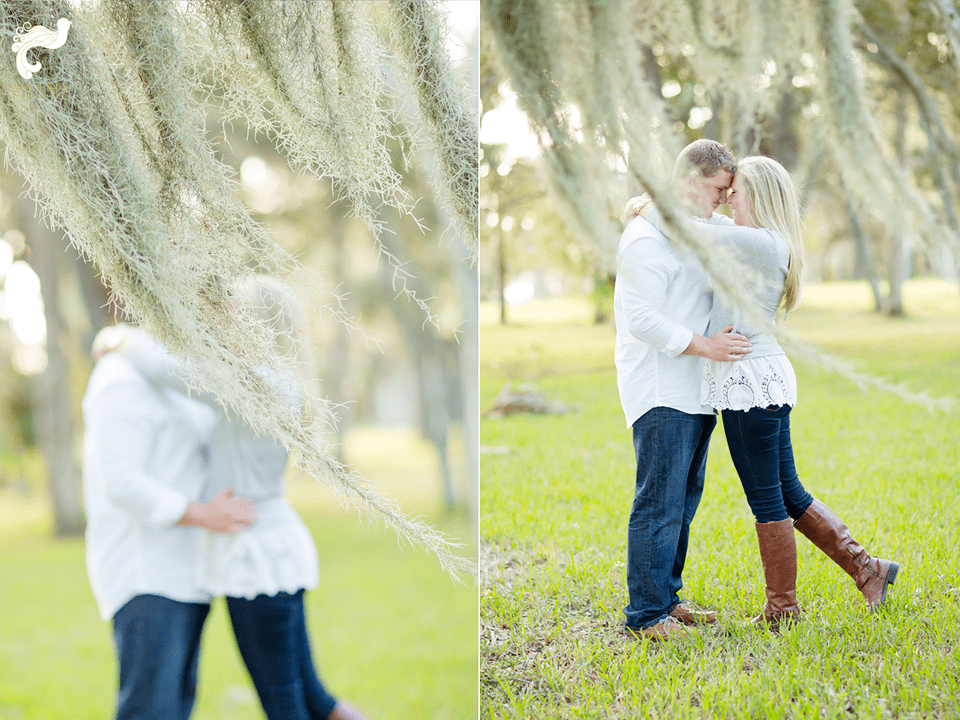 spanish moss